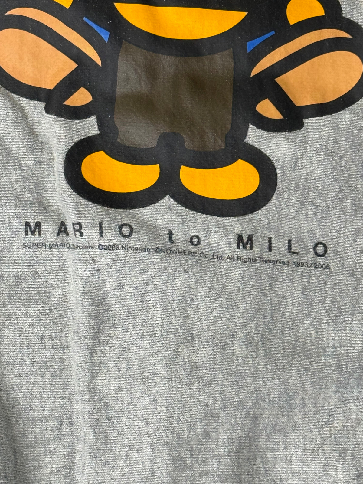 A Bathing Ape X Nintendo “Mario to Milo” Full Zip Hoodie