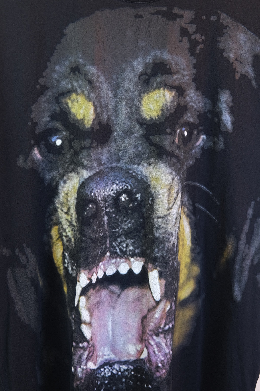 Givenchy Rottweiler Tee