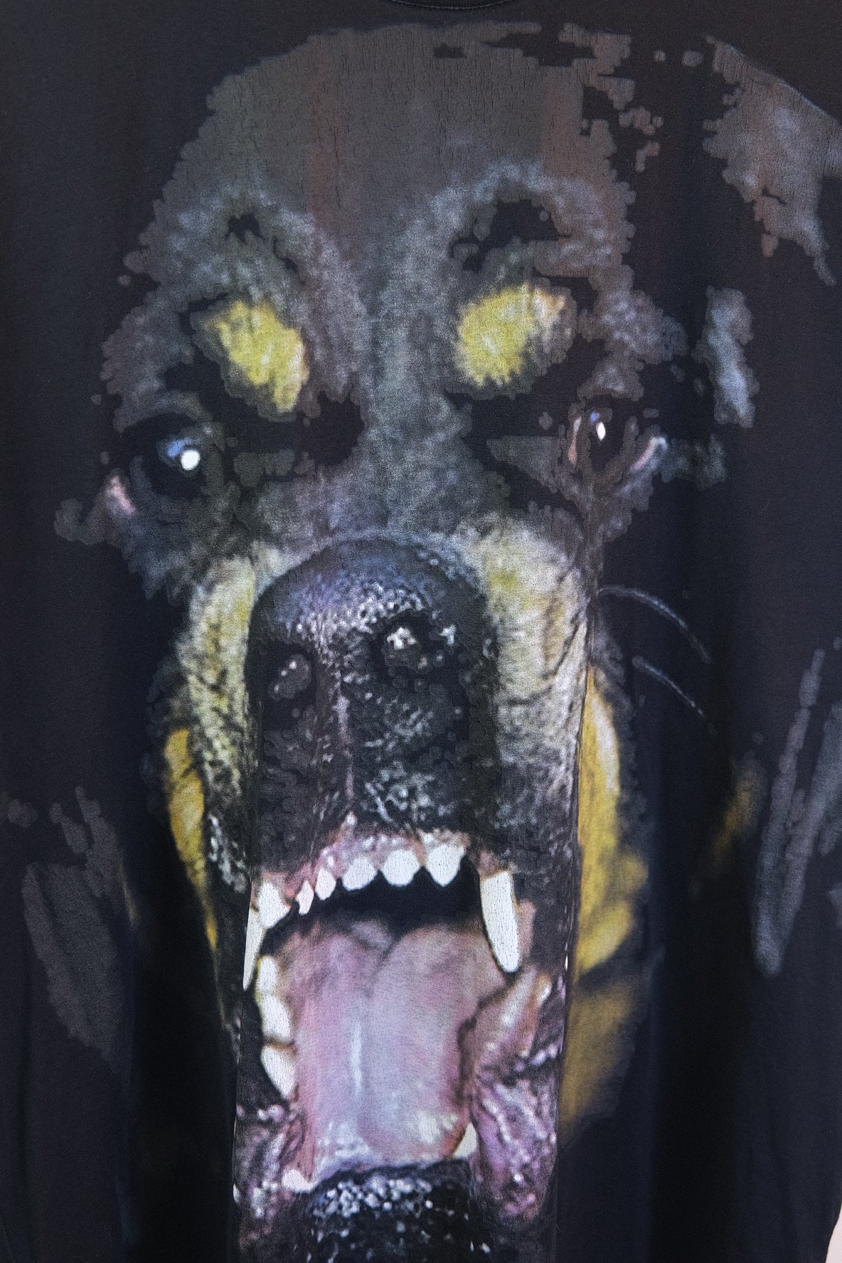 Givenchy Rottweiler Tee